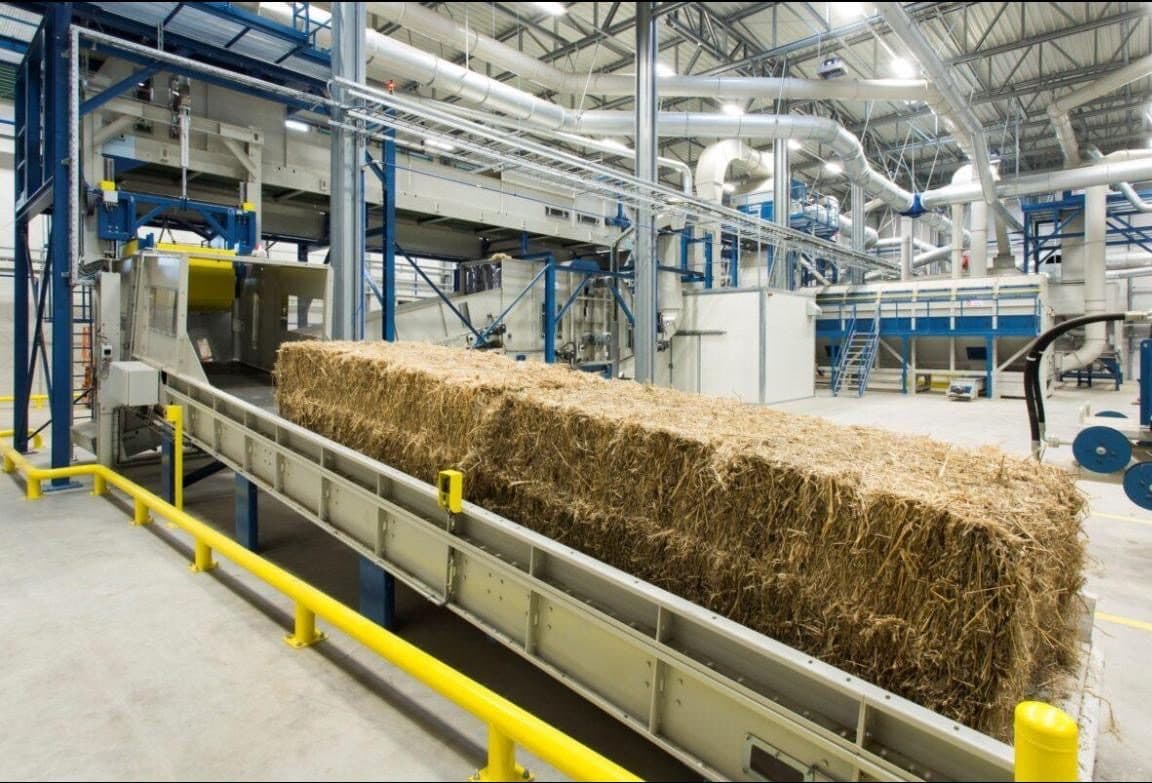 Straw bales on a conveyor feeding a processing line